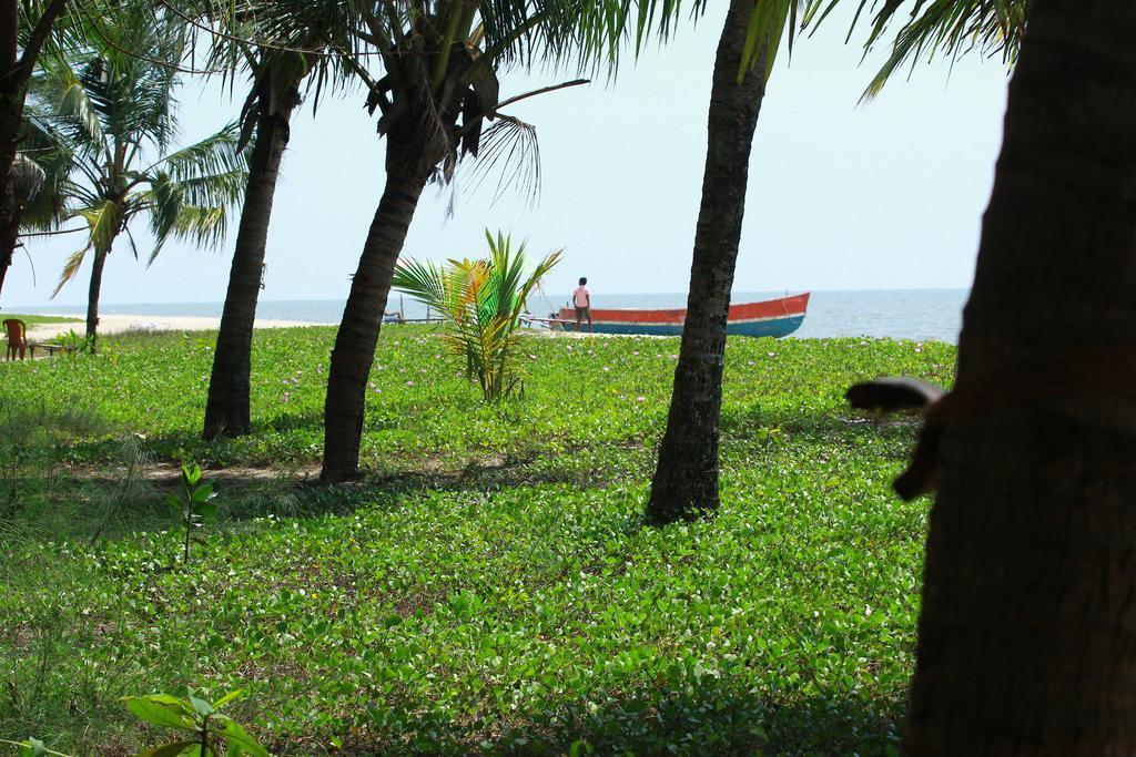 Marari Nest Mararikulam
