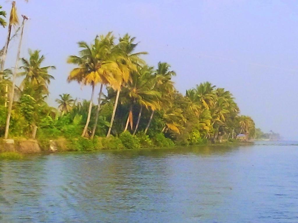 Homestay Marari Nest Mararikulam