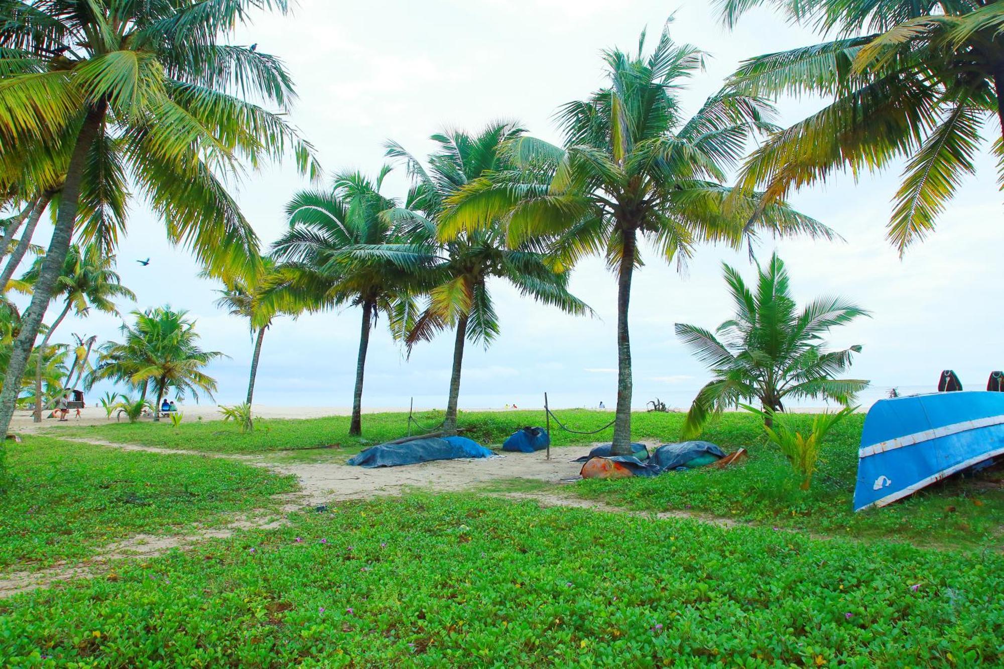 Homestay Marari Nest Mararikulam