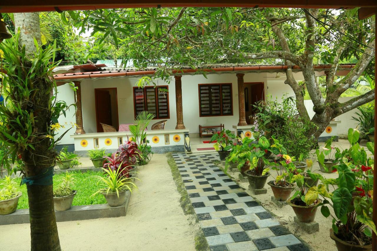 Marari Nest
